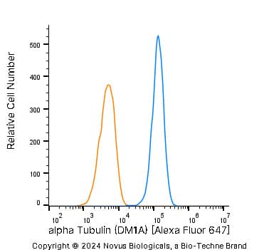alpha Tubulin Antibody (DM1A) - BSA Free
