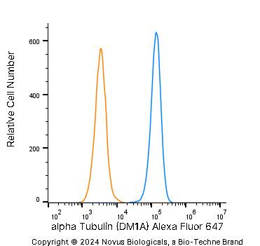 alpha Tubulin Antibody (DM1A) - BSA Free