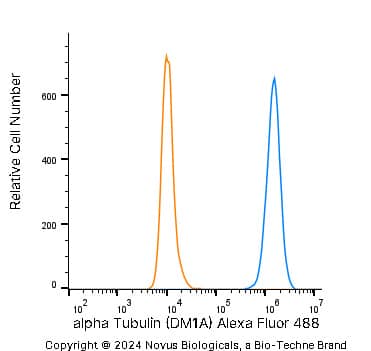 alpha Tubulin Antibody (DM1A) - BSA Free