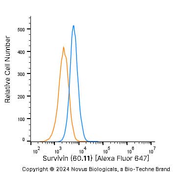Survivin Antibody (60.11) - BSA Free