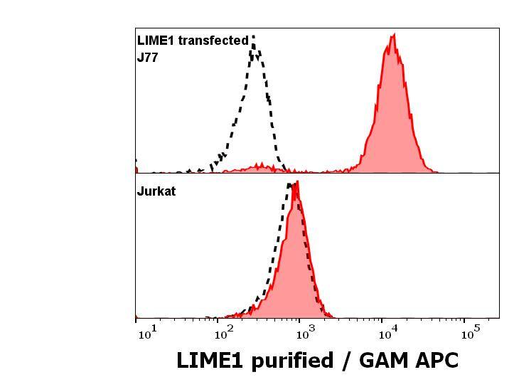 LIME Antibody (LIME-10) - BSA Free
