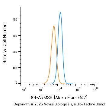 SR-AI/MSR Antibody - BSA Free