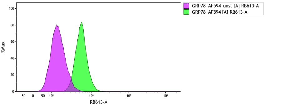 GRP78/HSPA5 Antibody - BSA Free