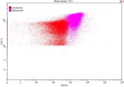 Eosinophil Antibody (BMK-13)