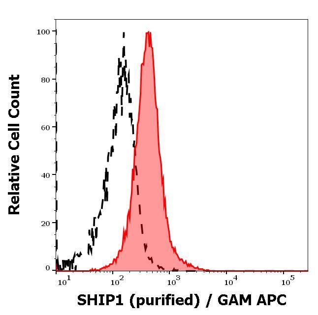 SHIP Antibody (SHIP-02) - BSA Free