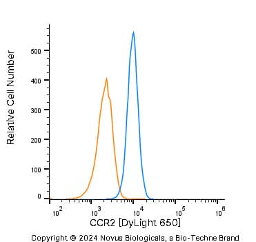 CCR2 Antibody - BSA Free