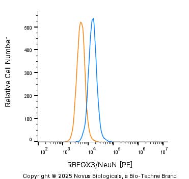 RBFOX3/NeuN Antibody - BSA Free