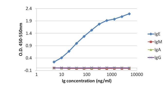 Human IgE Antibody (Fc-2001)