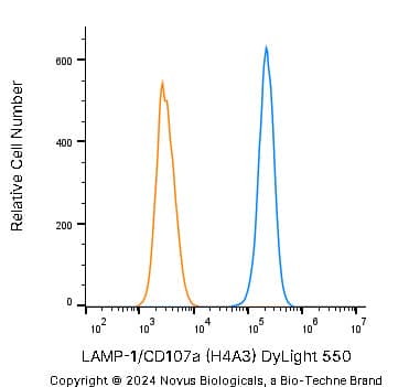 LAMP-1/CD107a Antibody (H4A3) - Azide and BSA Free