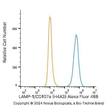 LAMP-1/CD107a Antibody (H4A3) - Azide and BSA Free