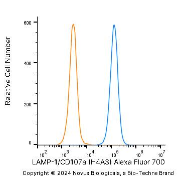 LAMP-1/CD107a Antibody (H4A3) - Azide and BSA Free