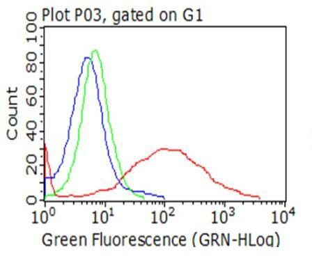 CRACC/SLAMF7 Antibody (OTI1F1)