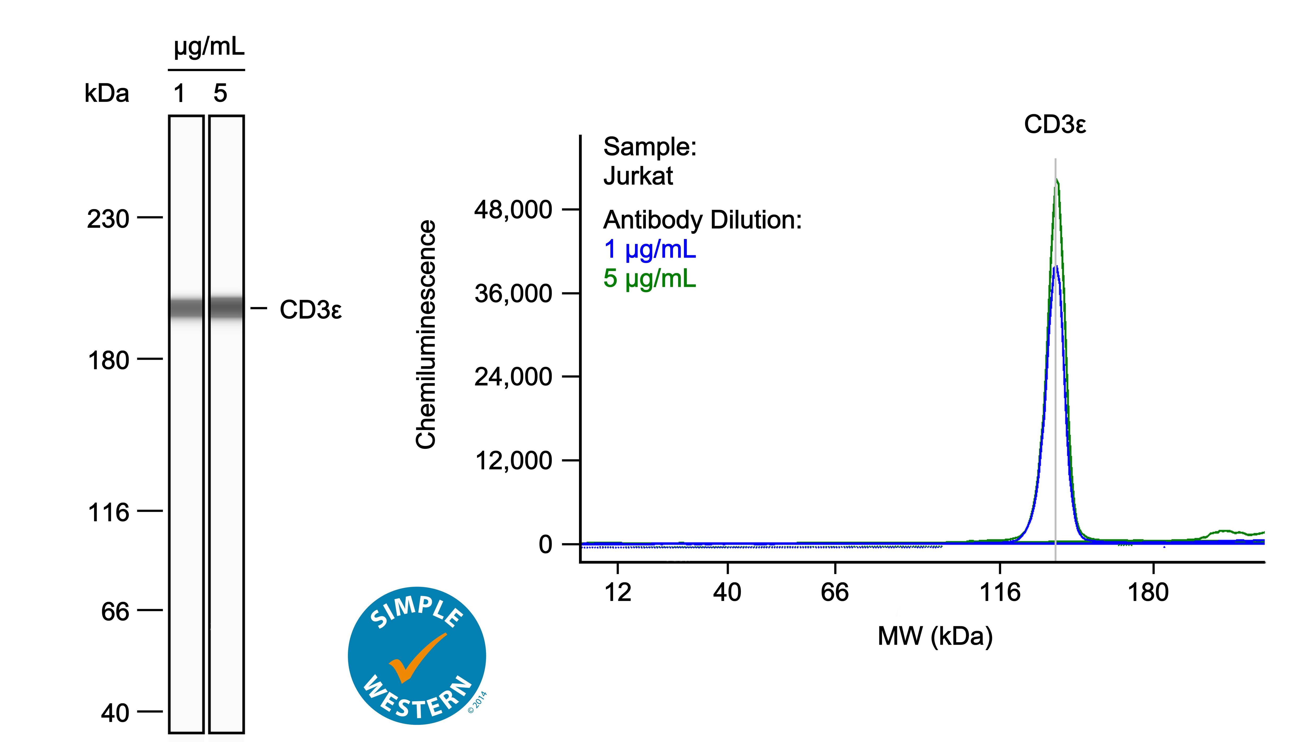 CD3 epsilon Antibody (C3e/1308)