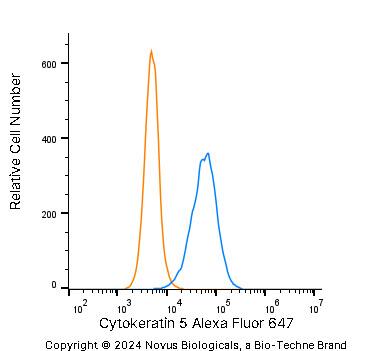 Cytokeratin 5 Antibody - BSA Free