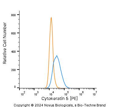 Cytokeratin 5 Antibody - BSA Free