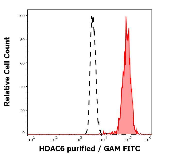 HDAC6 Antibody (236)