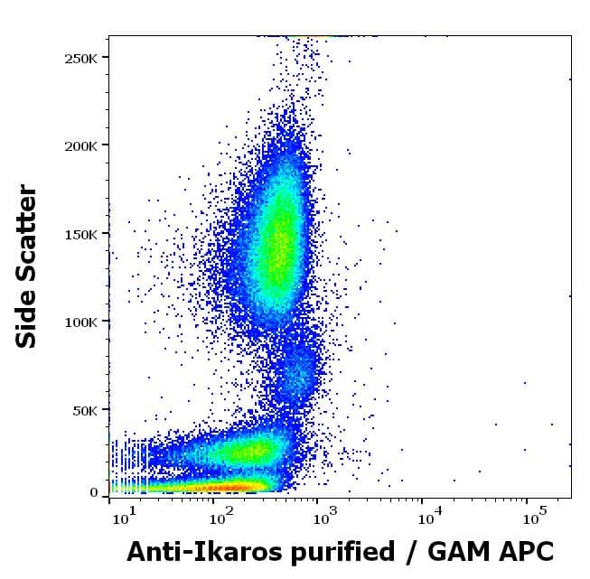 Ikaros/IKZF1 Antibody (4E9) - BSA Free