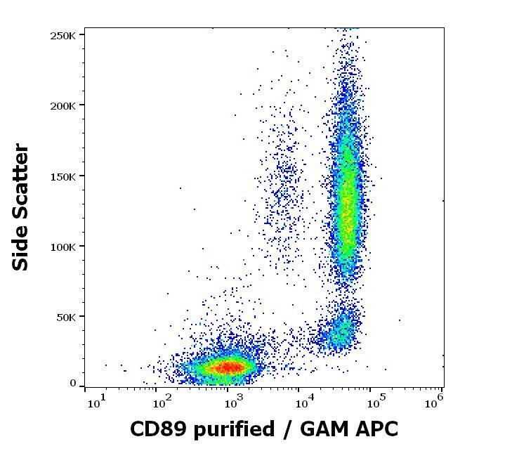 FCAR/CD89 Antibody (A59) - BSA Free