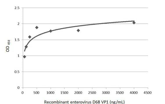 Enterovirus D68 VP1 Antibody (GT1843)