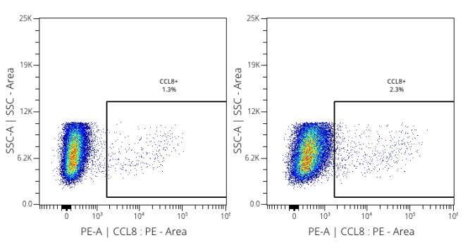 CCL8/MCP-2 Antibody (CCL8/3683) - Azide and BSA Free