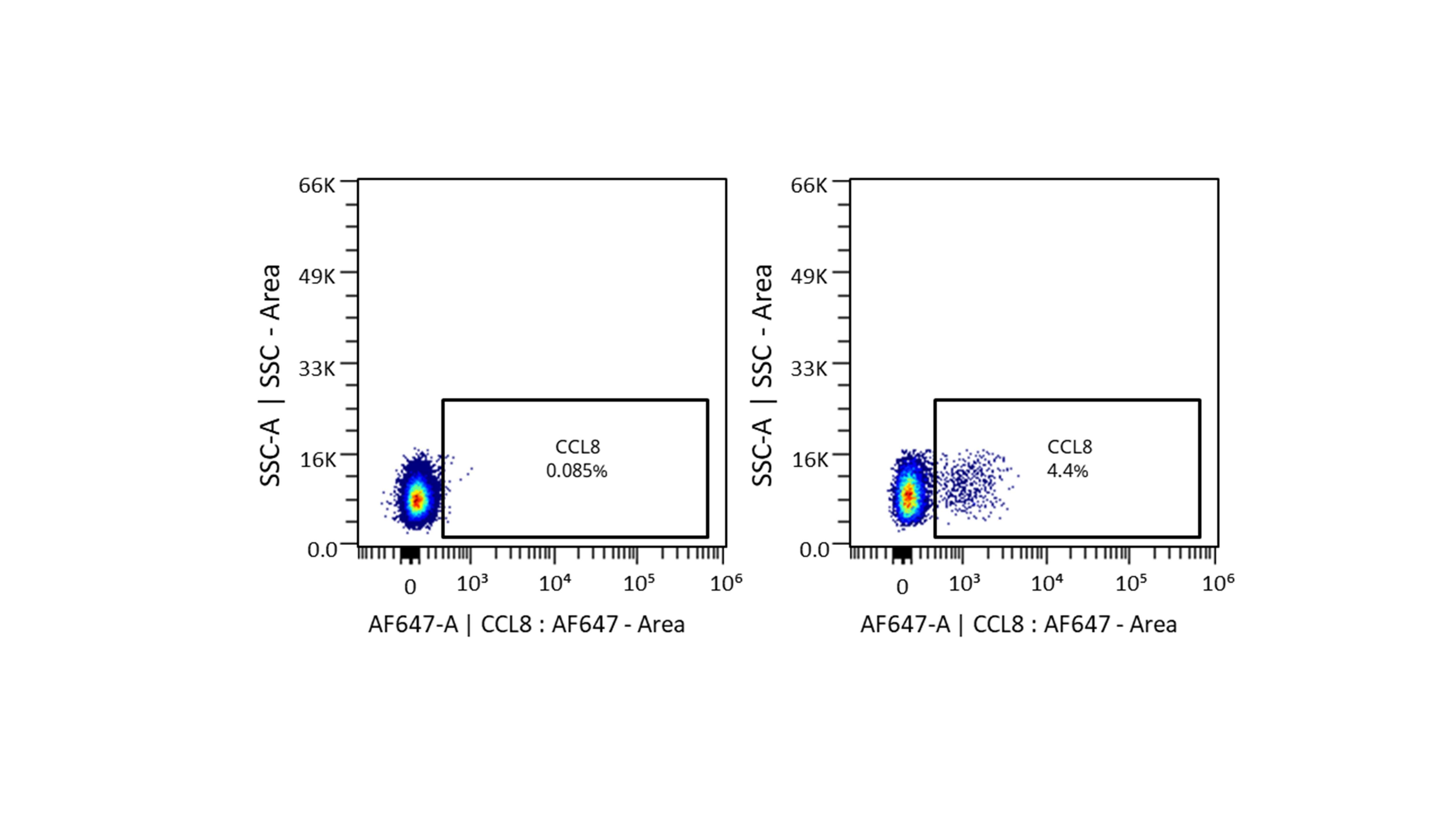 CCL8/MCP-2 Antibody (CCL8/3683) - Azide and BSA Free