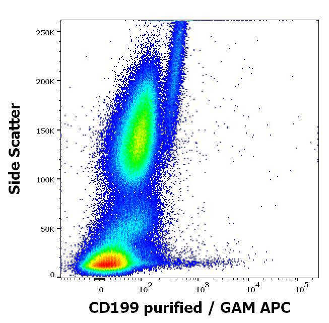 CCR9 Antibody (C9Mab-1) - BSA Free