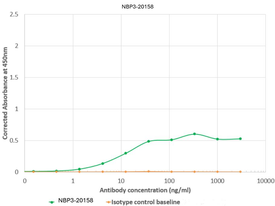 Cytomegalovirus gH Antibody (HCMV16) - Chimeric - Azide and BSA Free