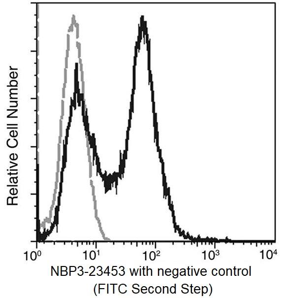 Influenza A H1N1 Hemagglutinin Antibody (9G1G8)