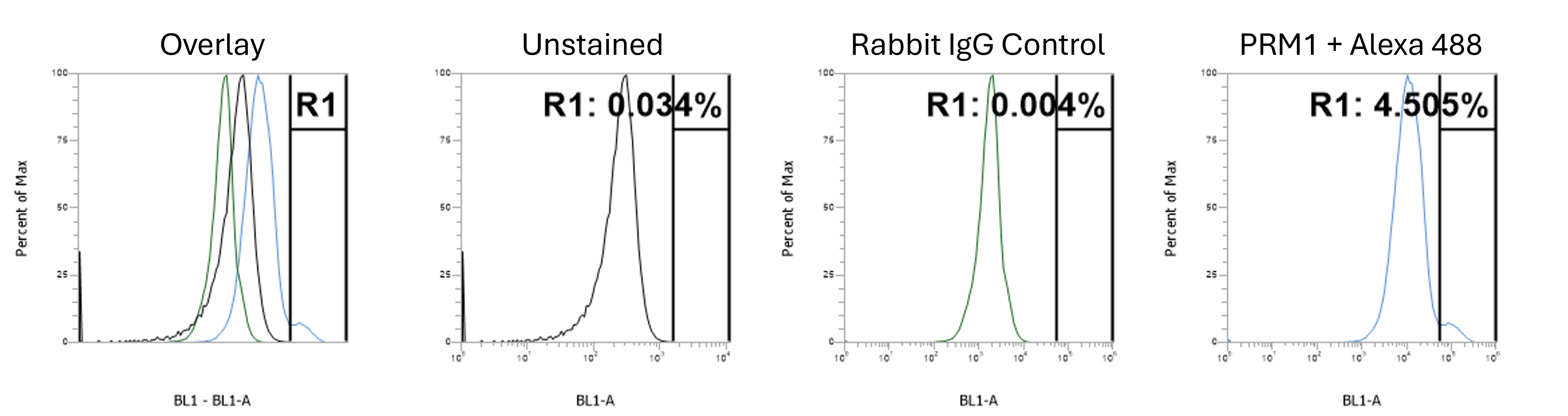 Protamine 1 Antibody - BSA Free