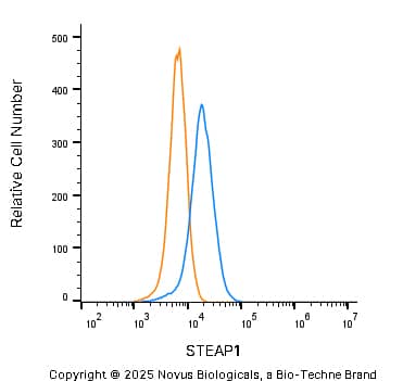 STEAP1 Antibody
