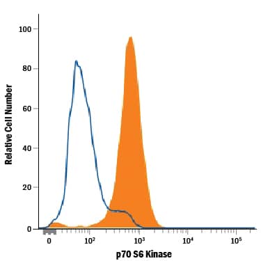 Detection of p70 S6 Kinase antibody in HeLa Human Cell Line antibody by Flow Cytometry.