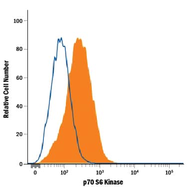 Detection of p70 S6 Kinase antibody in HeLa Human Cell Line antibody by Flow Cytometry.