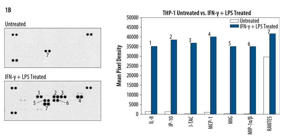 Detection of Multiple Analytes in Cell Culture Supernate with the Human Chemokine Array.