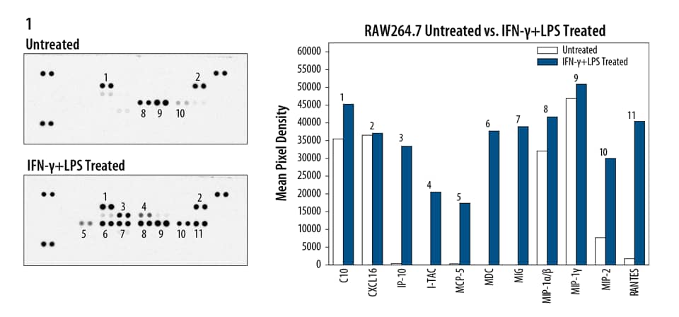 Detection of Multiple Analytes in Cell Culture Supernate with the Human Chemokine Array.
