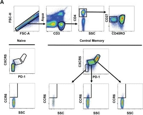 Detection of Human PD-1 by Flow Cytometry Detection of Human PD-1 by Flow Cytometry