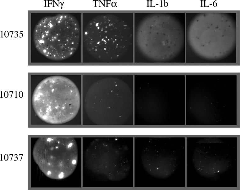 Detection of Human IL-6 by Functional