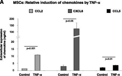Detection of Human CXCL8/IL-8 by ELISA