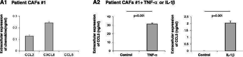 Detection of Human CXCL8/IL-8 by ELISA