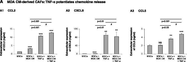 Detection of Human CXCL8/IL-8 by ELISA