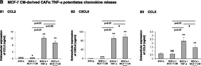 Detection of Human CXCL8/IL-8 by ELISA