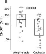 Detection of Human Carnosine Dipeptidase 1/CNDP1 by ELISA