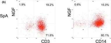 Detection of Human beta-NGF by Flow Cytometry