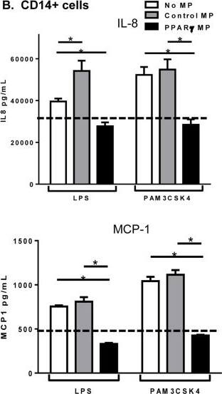 Detection of Human CCL2/JE/MCP-1 by ELISA