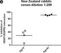Detection of Human VEGFR2/KDR/Flk-1 by ELISA