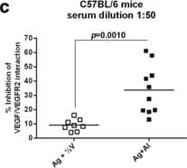 Detection of Human VEGFR2/KDR/Flk-1 by ELISA