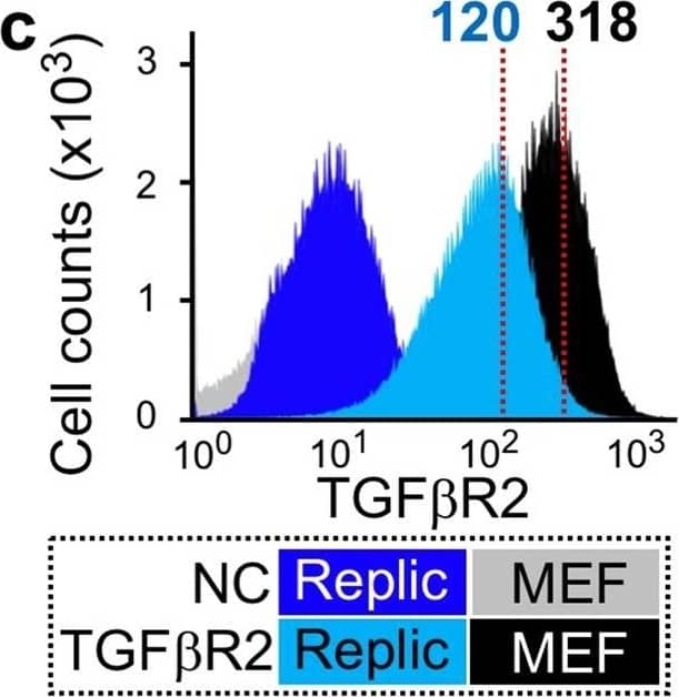 Detection of Mouse TGF-beta RII by Flow Cytometry