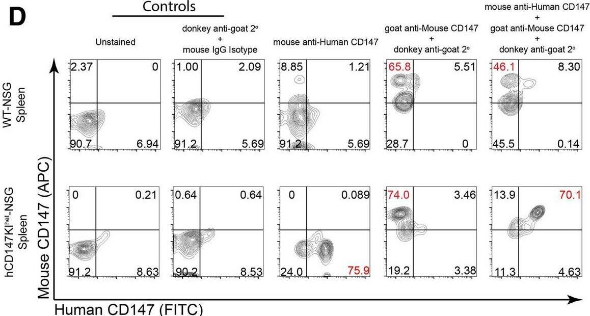 Detection of EMMPRIN/CD147 by Flow Cytometry