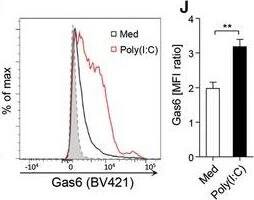 Detection of Human Gas6 by Flow Cytometry