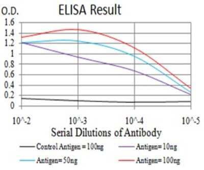 ELISA: beta-1,3-Glucuronyltransferase 1/B3GAT1 Antibody (3B8C12) - BSA Free [NBP2-61709]