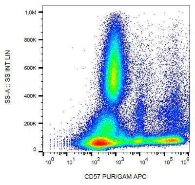 Flow (Cell Surface): CD57 Antibody (TB01) [NBP2-62203]